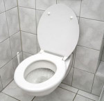 toilet2