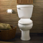 toilets1